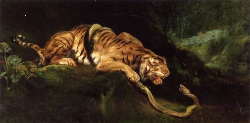 A Tiger Struggling with a Snake